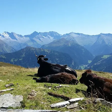 Tiroler Alpenhof إنسبروك