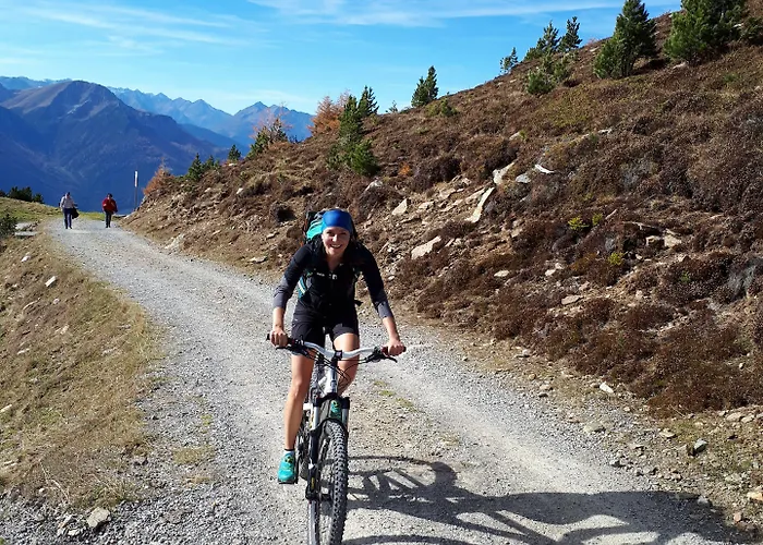 Tiroler Alpenhof * インスブルック