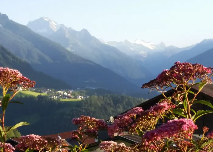 Tiroler Alpenhof アパート