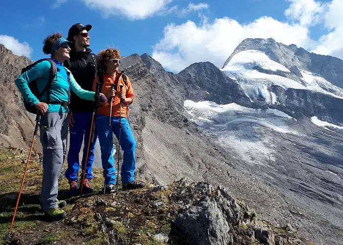 Tiroler Alpenhof アパート *