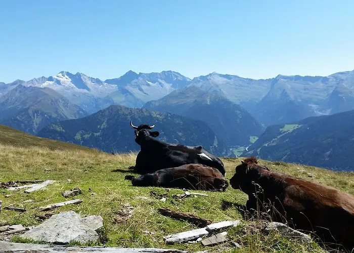 Tiroler Alpenhof インスブルック
