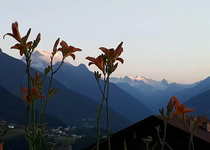 Tiroler Alpenhof アパート