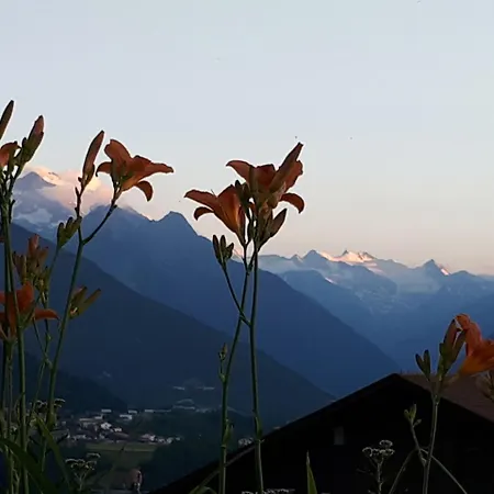 Tiroler Alpenhof Apartmán